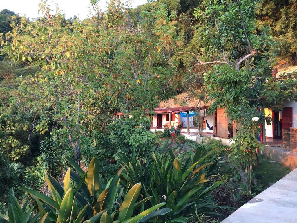 Finca San Rafael - Cafe Y Cacao Minca Luaran gambar
