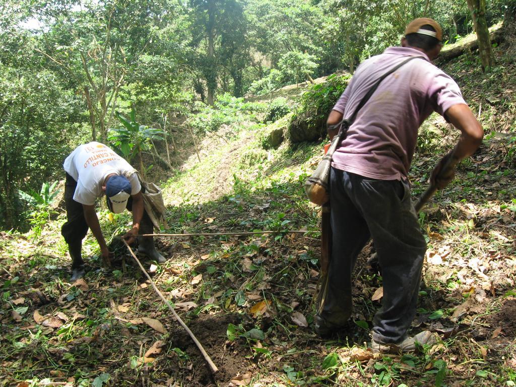 Finca San Rafael - Cafe Y Cacao Minca Luaran gambar