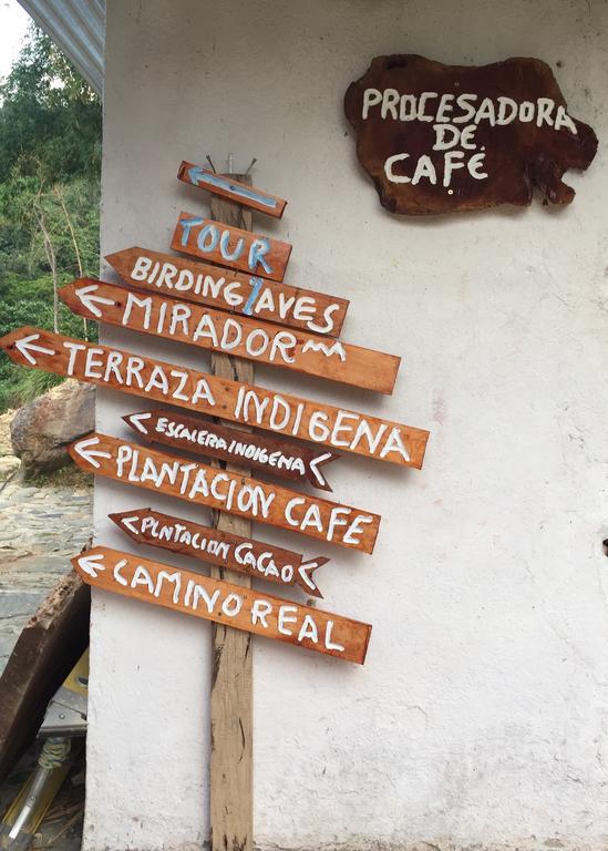 Finca San Rafael - Cafe Y Cacao Minca Luaran gambar