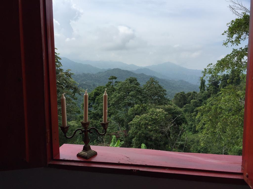Finca San Rafael - Cafe Y Cacao Minca Luaran gambar